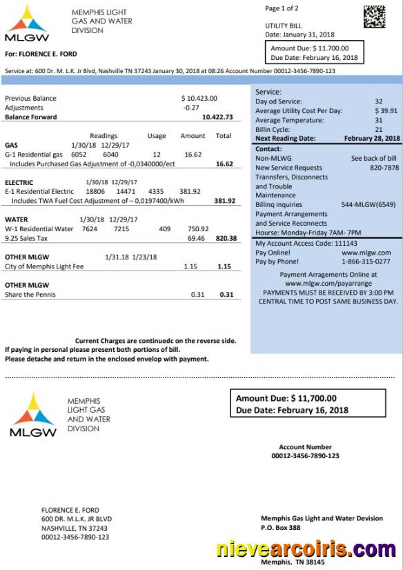 USA Tennessee MLGW utility bill